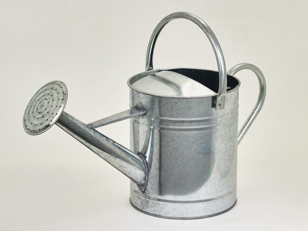 Arrosoir galvanisé 5 litres – Petit format, grand style rétro