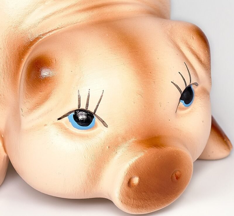 Tirelire Cochon Céramique Qualité Design Soigné Peint à la Main Détail Couleur Deux Tailles – Image 2
