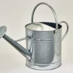 Arrosoir galvanisé 8 litres – Esprit vintage et robustesse artisanale