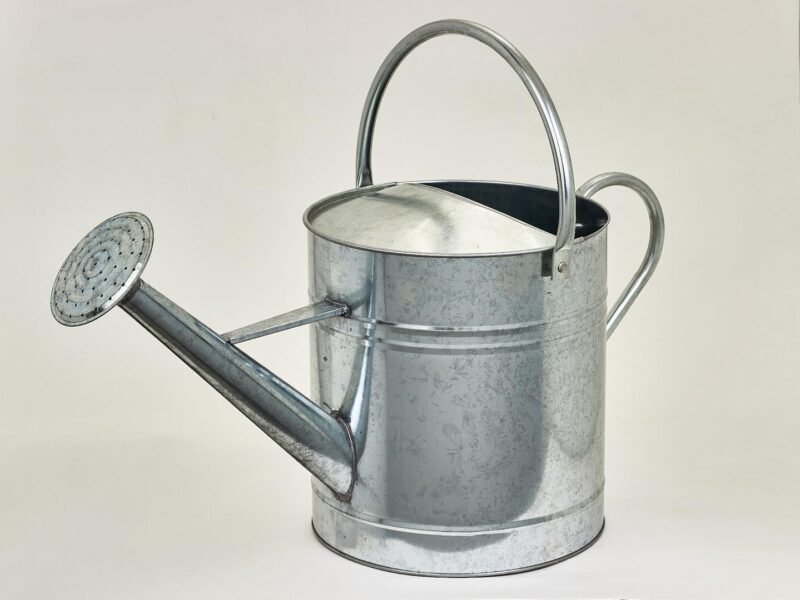 Arrosoir galvanisé 8 litres – Esprit vintage et robustesse artisanale
