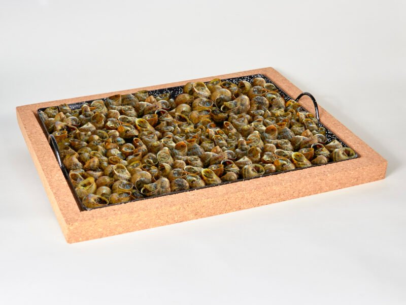Plateau émaillé pour barbecue, four et escargots, llauna de cargols, base en liège amovible sans brûlures, ignifuge, 32x42 cm – Image 3