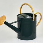 Arrosoir vert mat 5 litres – Élégance compacte pour amoureux des plantes